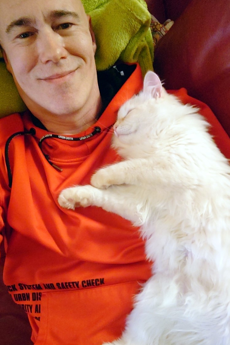 Milo+Blanco, Sibirische Katzen, Siberian Cats