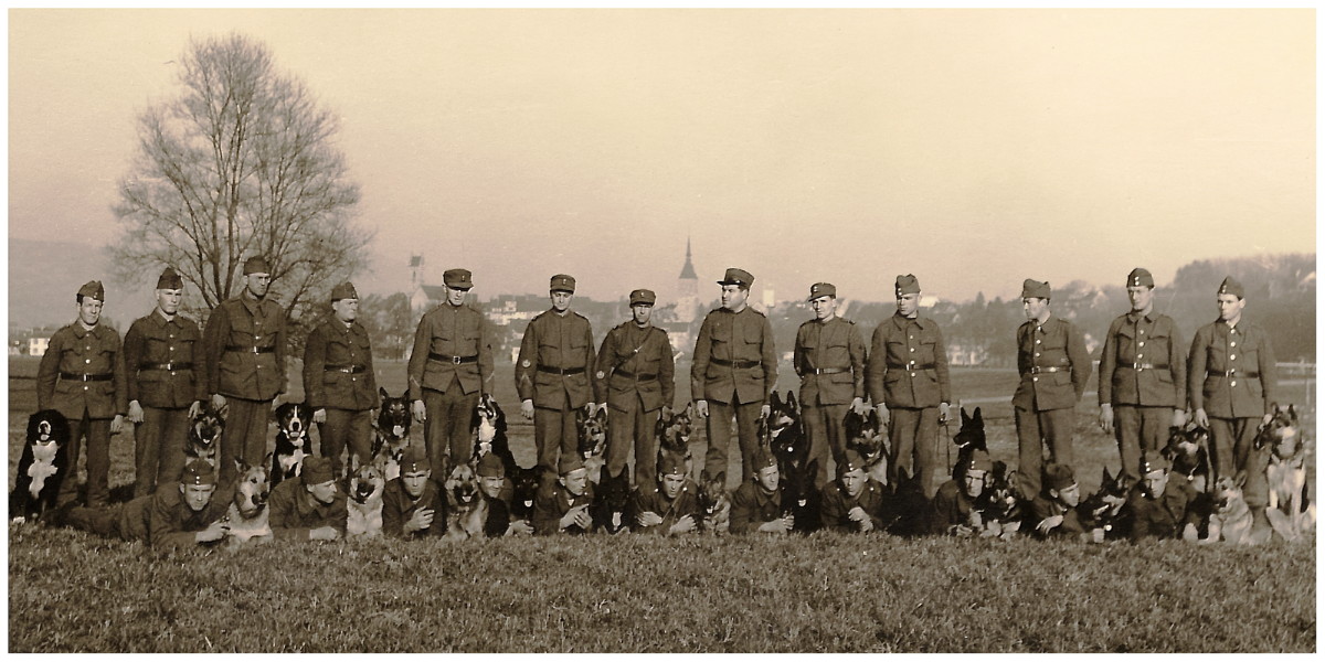Swiss Army Vintage Photo 1944, Soldiers with Dogs