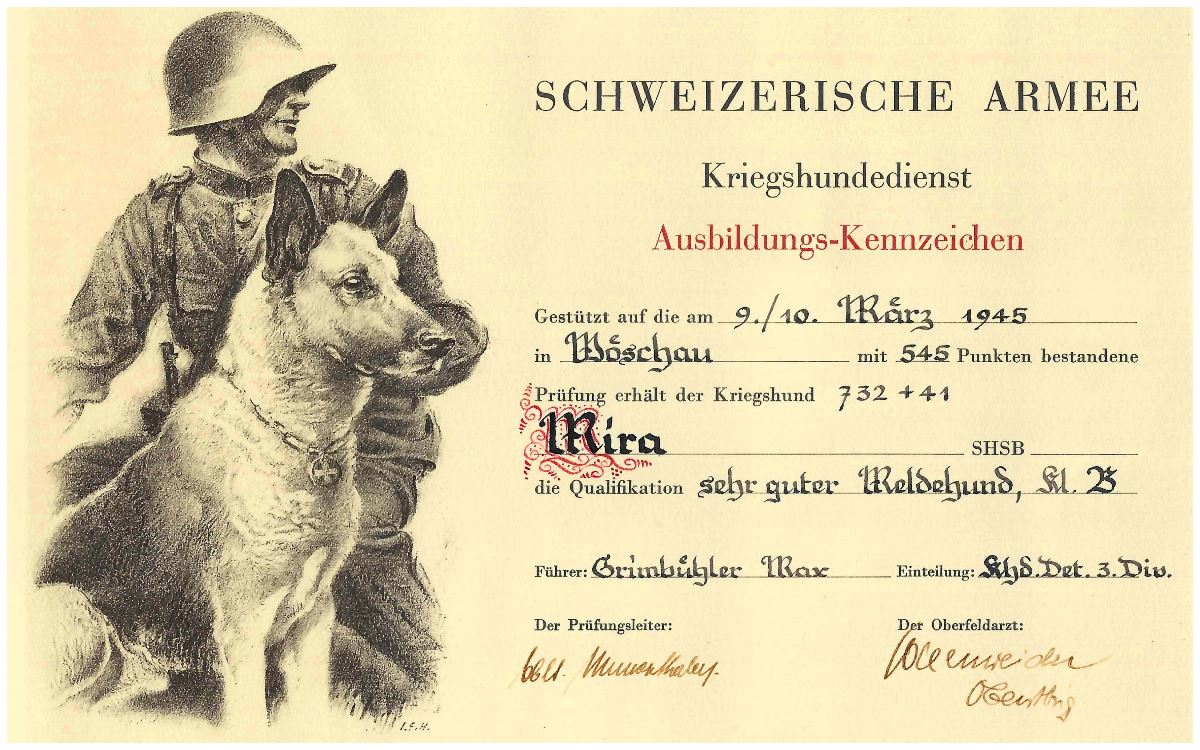Award for Max's Swiss Army Dog