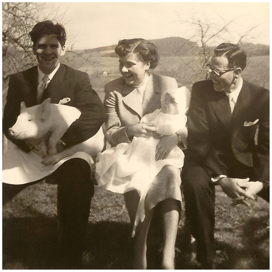 Vintage Family Photo 1953